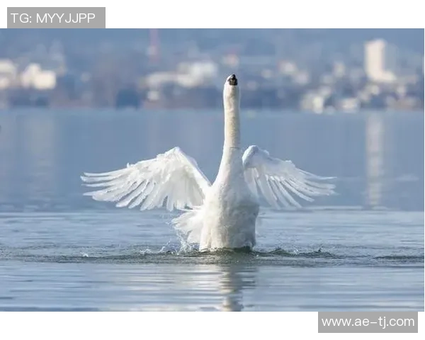 足球明星雨伞高清图片展现独特风采与魅力的完美结合
